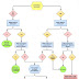 Common Service Center Work follow in Post Office with Flow chart || Common Service Center(CSC)