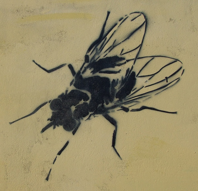 Fly Stencil Graffiti, Warsaw, Poland.