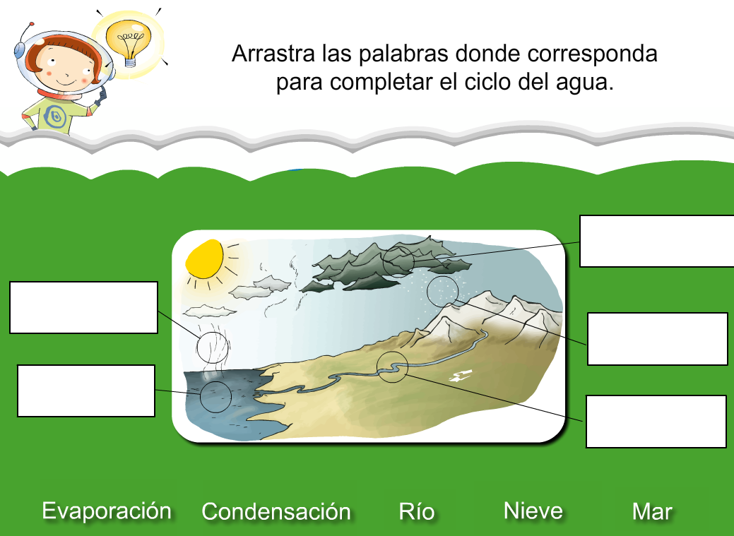 http://www.primerodecarlos.com/SEGUNDO_PRIMARIA/julio/activi_bromera/natura2/8/Natura2-U8-A2_cas.swf