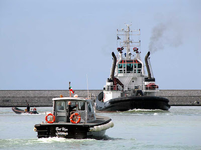 Tito Neri tug, Livorno