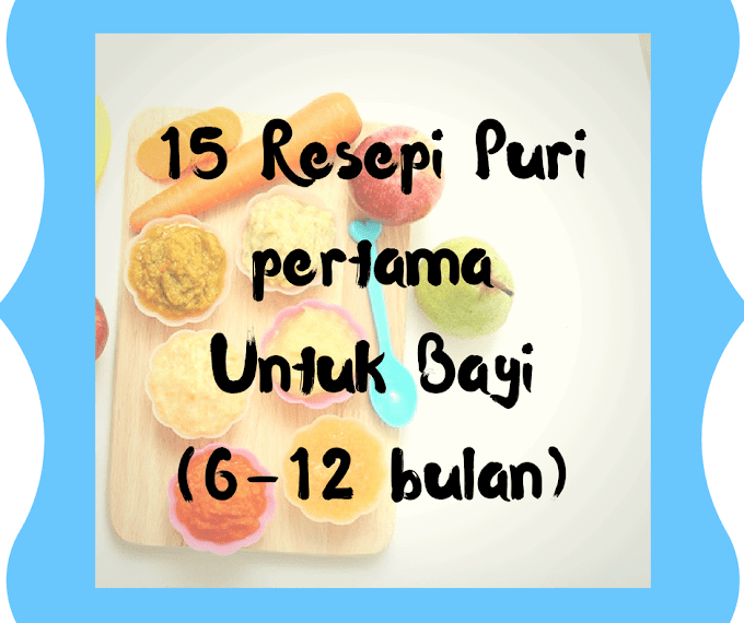 14 RESEPI PURI (MAKANAN BAYI) 6 -12 BULAN SANGAT MUDAH DAN BERKHASIAT!