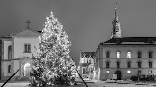 Der Weihnachtsbaum auf dem Domplatz in St. Gallen.