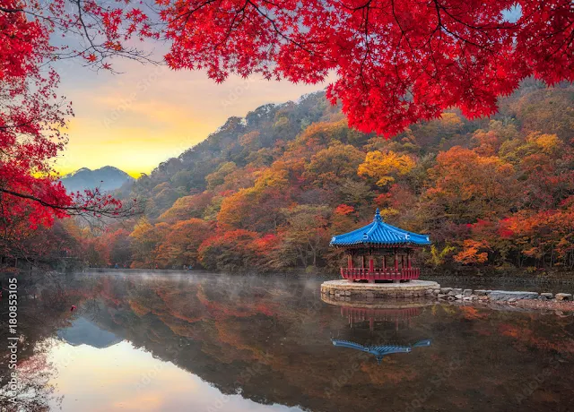 coreia-do-sul