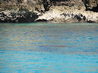 labuanbajo komodo rinca indonesia