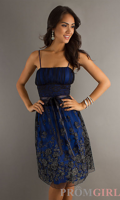 Winter Formal Dresses 2013 - 5