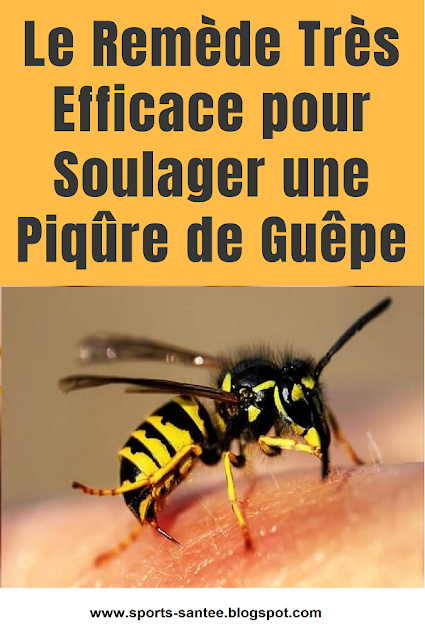 Piqure-de-guepe-comment-la-soulager