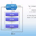 For Loop
