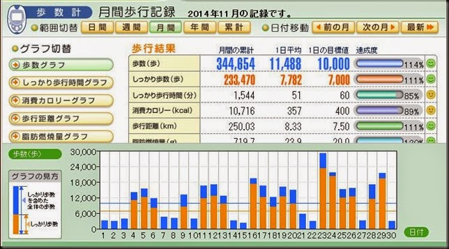 1411運動実績