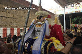 Sri TheliyaSingar , Sri Gajendra Varadhar, Samrokshanam, 2016, Video, Divya Prabhandam,Sri Parthasarathy Perumal, Triplicane,Thiruvallikeni,Utsavam,