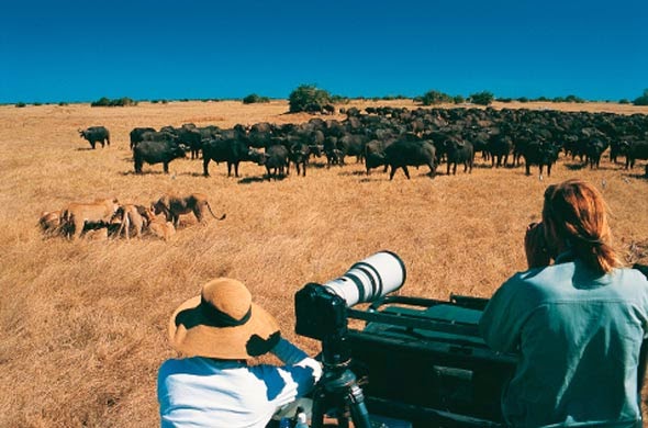 safari photographic botswana