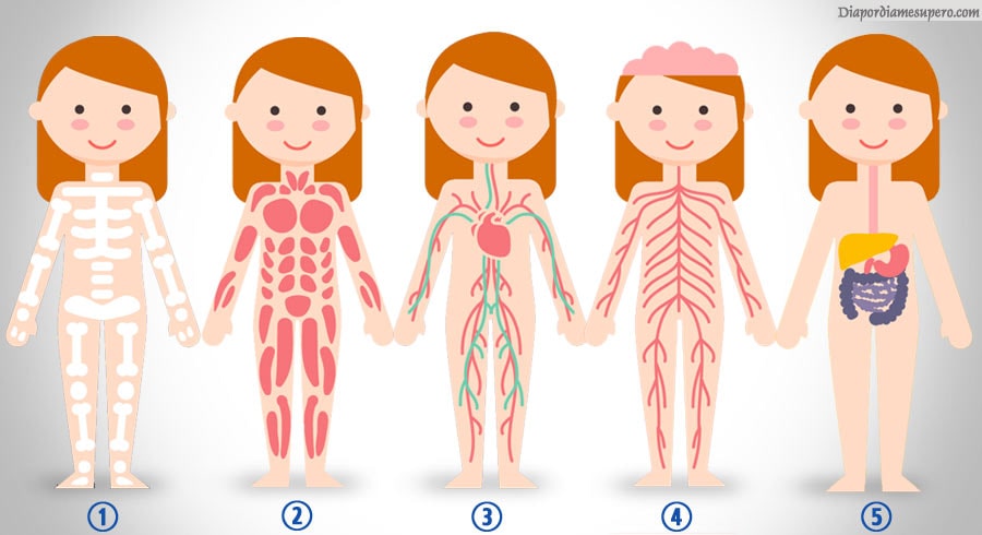 Test: ¿Qué necesitas cambiar en tu vida? 