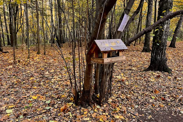 парк Сокольники, кормушка