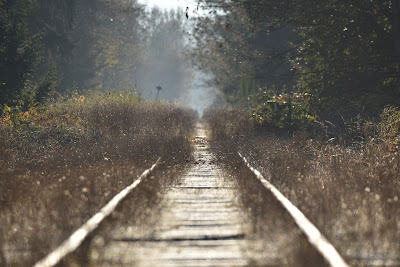 E&N Railway Vancouver Island Canada.