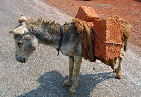 Donkey carrying a load of bricks