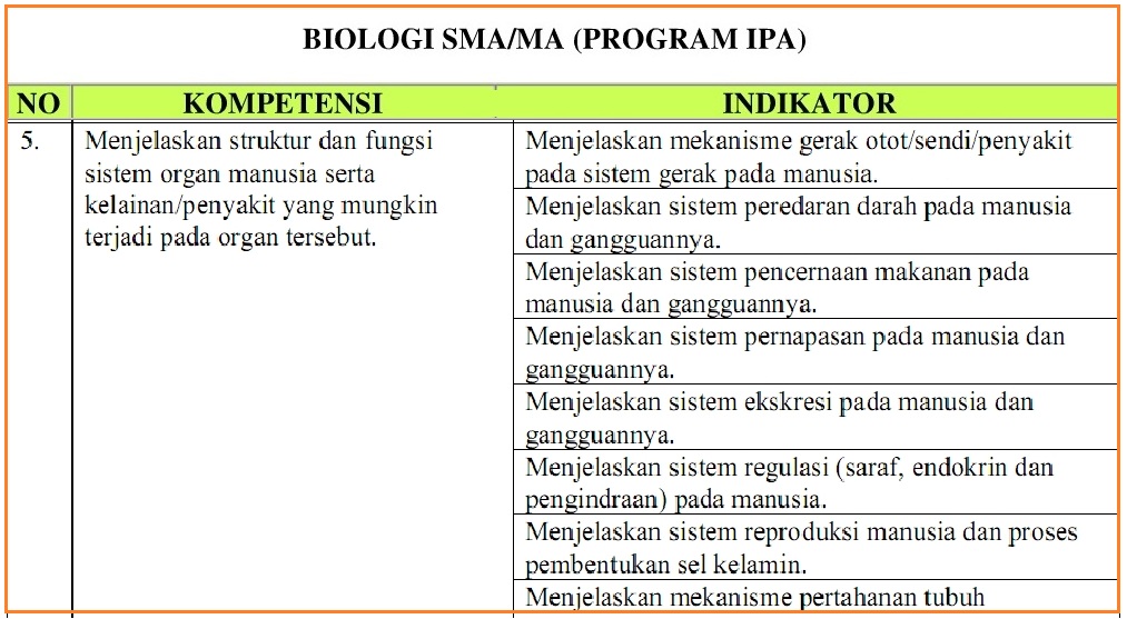 Contoh Sistem Pernapasan Pada Hewan Mamalia - Temblor En