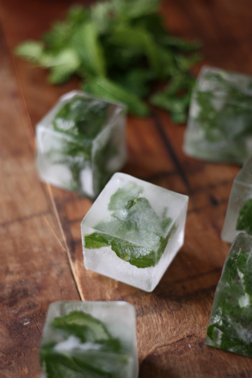 How To: Mint Infused Ice Cubes