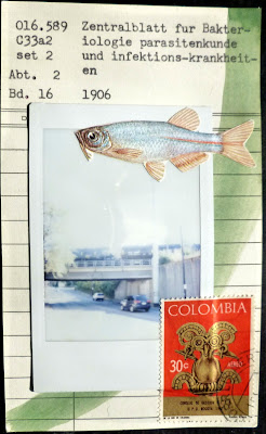 fish postage stamp polaroid library card Fluxus mail art collage