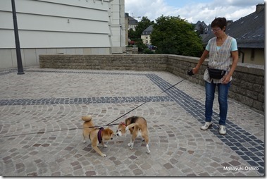 102-DSC04405