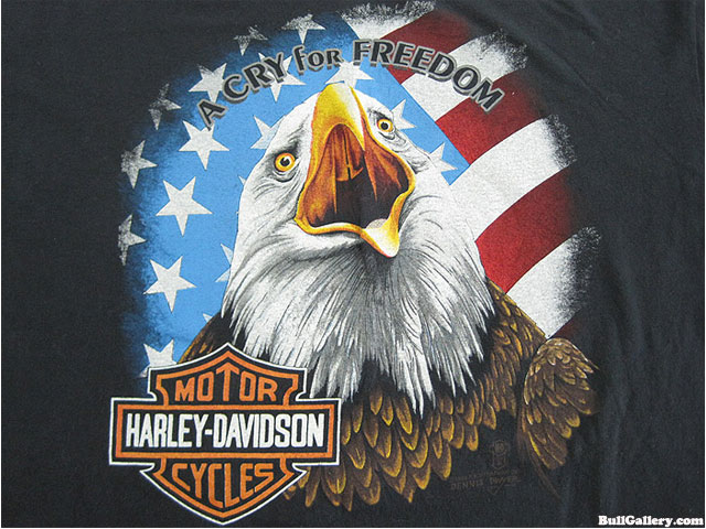 Download 7 Harley  Davidson  Eagle  Logos  Bull Gallery