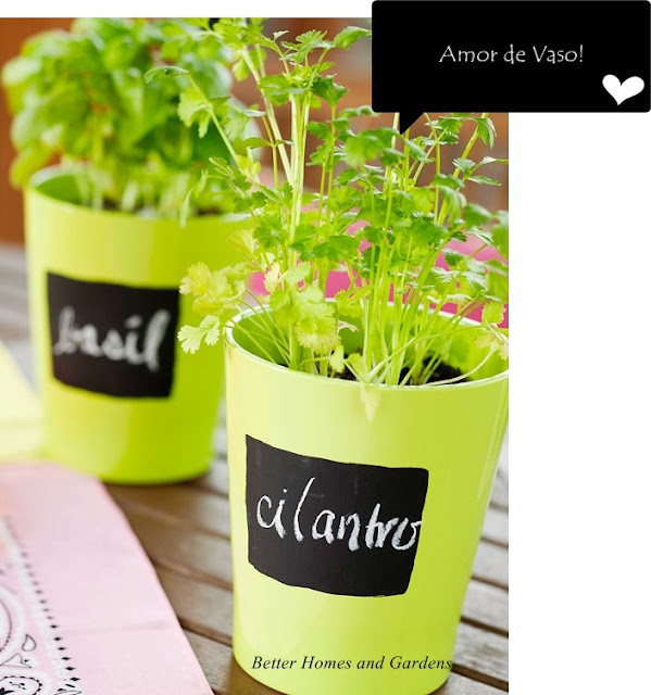 vaso com espaço para escrever o nome das plantas