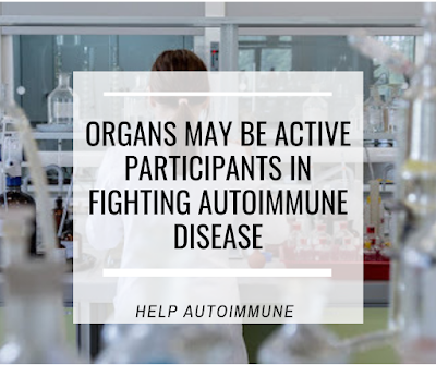 Organs may be Active Participants in Fighting Autoimmune Disease