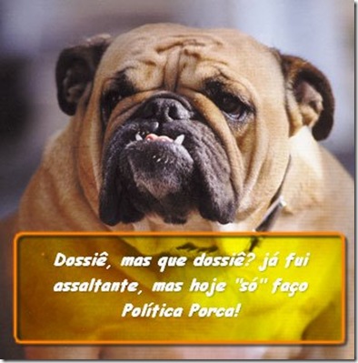 dilma buldog
