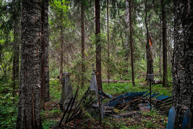 Старое кладбище в лесу