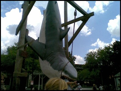 28 - May 30 104 pm shark