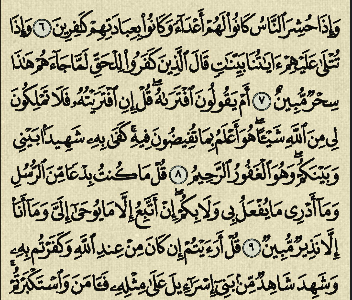 شرح, وتفسير, سورة الاحقاف, surah al ahqaf, من الآية 1, إلى الآية 14,