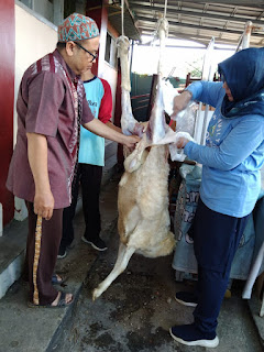 SD N Sadagori 1, membeli seekor sapi hasil rereongan para peserta didik dan para guru, serta seekor kambing untuk qurban  dari ketua komite.