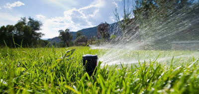 With a smart controller irrigation system, owners can monitor watering cycles from remote locations without having to raise a finger in any of the watering process.