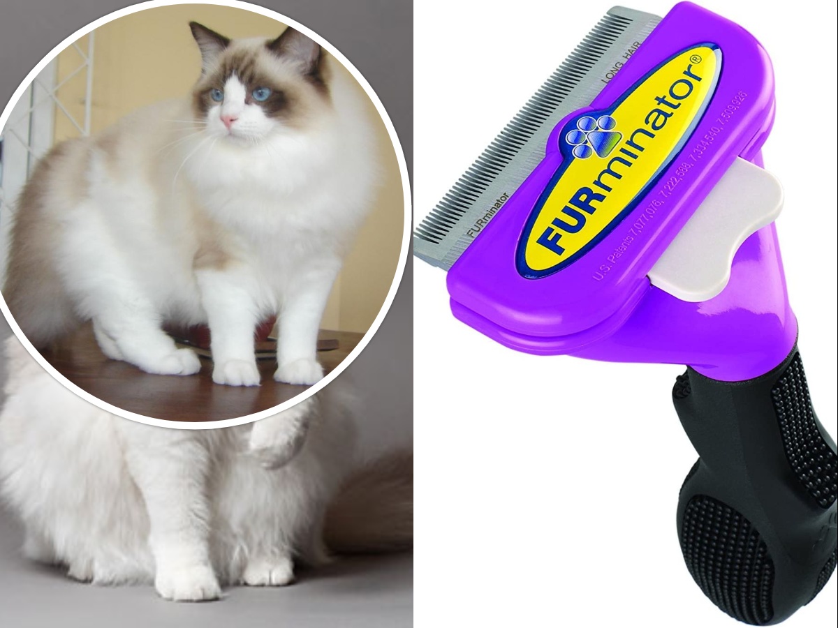 FURminator Long Hair De-Shedding Tool for Ragdoll cats