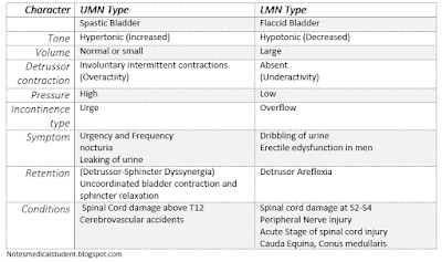 Character  UMN Type  LMN Type   Spastic Bladder Flaccid Bladder Tone  Hypertonic (Increased) Hypotonic (Decreased) Volume  Normal or small Large Detrussor contraction  Involuntary intermittent contractions (Overactiity) Absent  (Underactivity)  Pressure  High  Low Incontinence type Urge  Overflow  Symptom Urgency and Frequency  nocturia  Leaking of urine  Dribbling of urine  Erectile edysfunction in men  Retention  Incomplete bladder voiding  (Detrussor-Sphincter Dyssynergia) Uncoordinated bladder contraction and sphincter relaxation Detrusor Aflexia  Conditions  Spinal Cord damage above T12 Cerebrovascular accidents   Spinal cord damage at S2-S4 Peripheral Nerve injury  Acute Stage of spinal cord injury  Cauda Equina, Conus medullaris