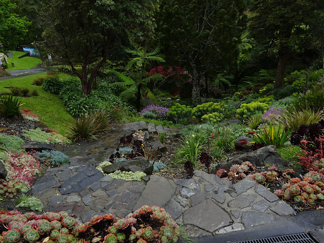 Wellington botanical gardens