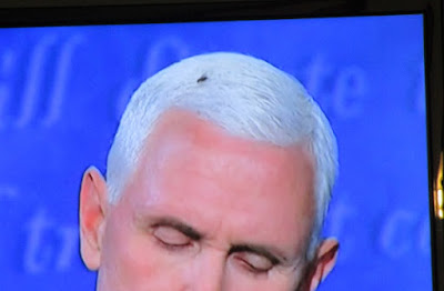 fly on Pence