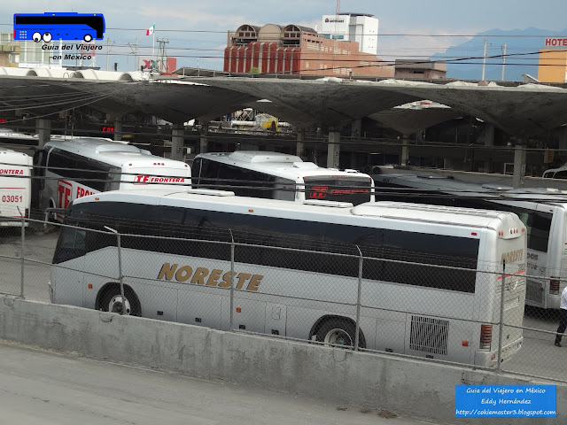 Autobuses Noreste