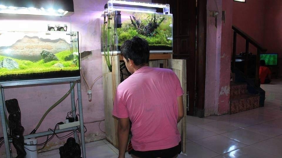 Karya Aquascape Ahmed Faizal  (Foto : Krisna/jurnalMojo)