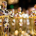 Audiencia hispana del Oscar ha crecido en la diversidad de nominaciones