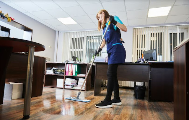 diy vs professional cleaning services company cleaners