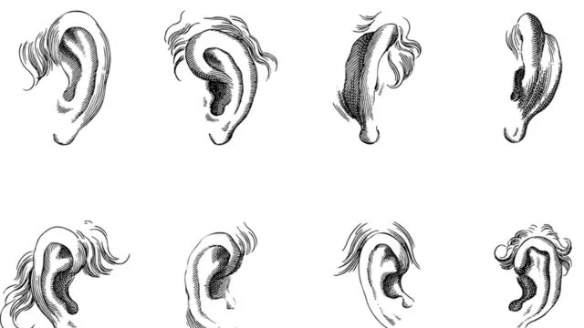 ouvidos audição som linha arte Desenho de ouvido em linha arte