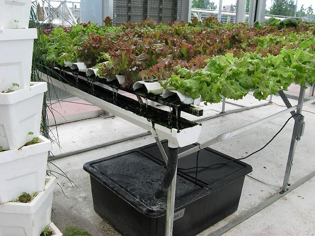 Science Barge: fazenda urbana sustentável