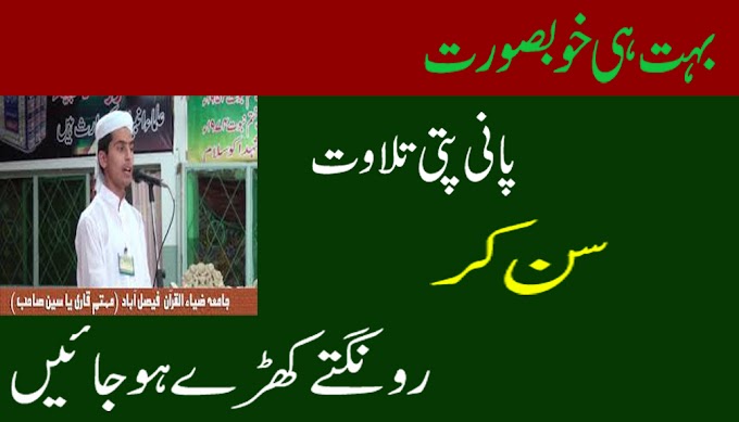 Panipati Tilawat ||Qari Umer Tanveer ||Tahaffuzedeeneislampakistan