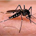 El Ministerio de Salud informó que se notificaron en el país unos 28.235 casos de Dengue: