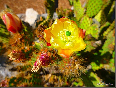 P1170385