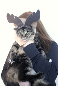 The Incredible Cat-Moose Costume DIY #MichaelsMakers