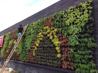 Vertical Garden Jakarta | Jasa Pembuatan Taman Vertical di Jakarta Barat | Utara | Selatan | Pusat | Timur | Bekasi | Depok | Bogor | Tangerang