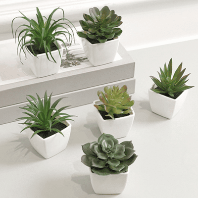Mini Evergreen Artificial Succulent Small Plants