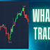 What is Trading | Where it Takes Place | Is it Risky ?