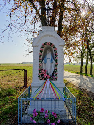 Zdjęcie: