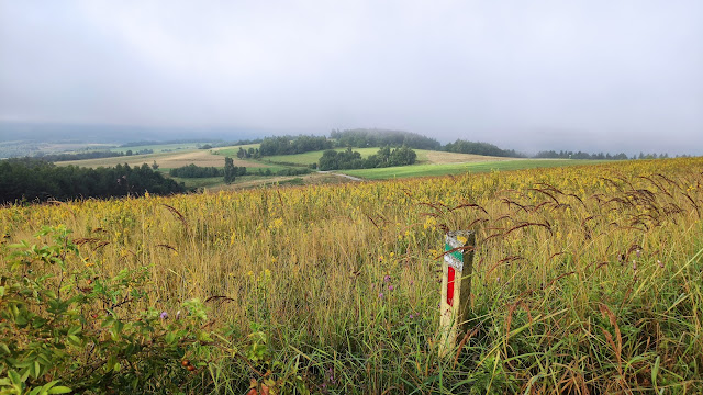 Beskid Niski - szlaki, co zobaczyć, atrakcje regionu